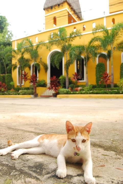 Riad Hua Hin Dış mekan fotoğraf